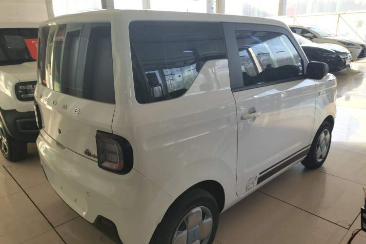 Used  Panda 2023 Panda Mini 200km Endurance Bear