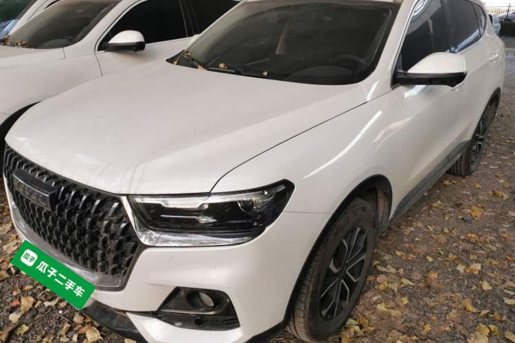 Used Haval H6 2023 National Trend Edition 1.5T Automatic Urban Version
