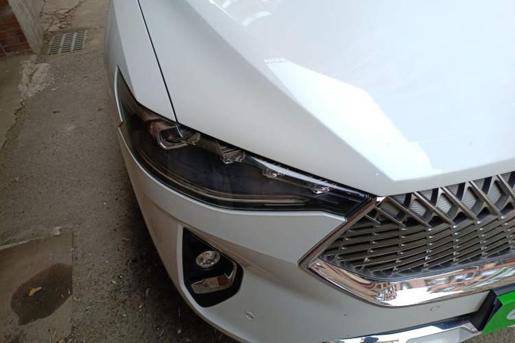 Used Haval F7 2021 2.0T Two-Wheel Drive i-Van