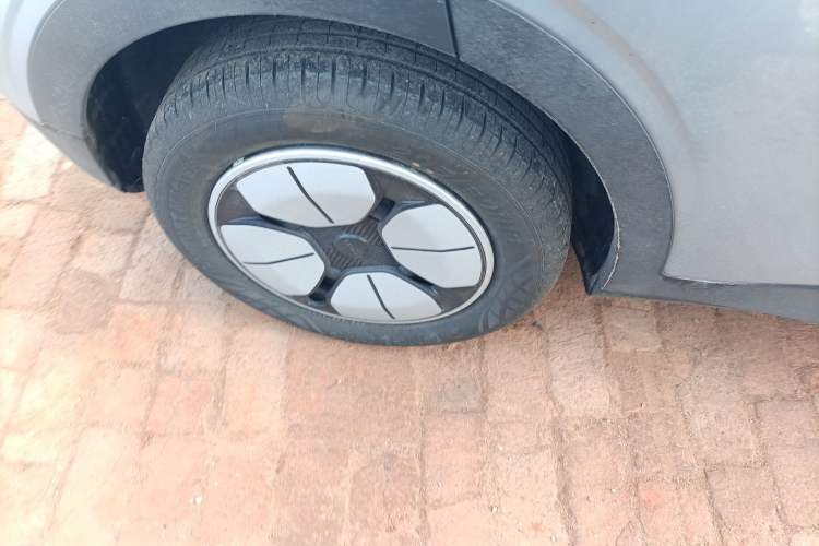 Used  Geome 2025 310km Youth Edition