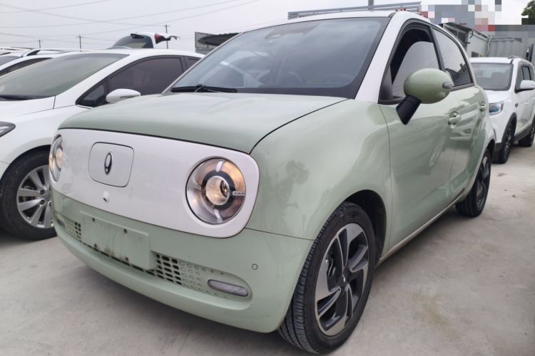 Used ORA Black Cat 2022 405 km Long-Range Version Ternary Lithium
