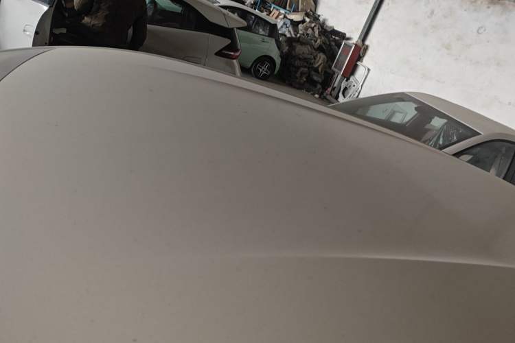 Used BYD Seagull 2025 Smart Drive Version 305 km Freedom Edition
