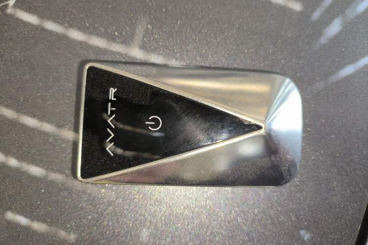 Used  07 2024 Max Extended-Range Edition
