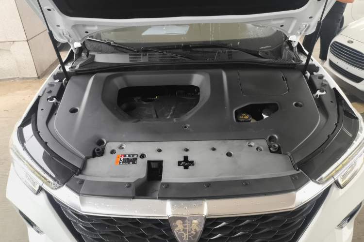 Used Roewe RX5 2020 PLUS 300TGI Automatic Ali National Trend Flagship Edition
