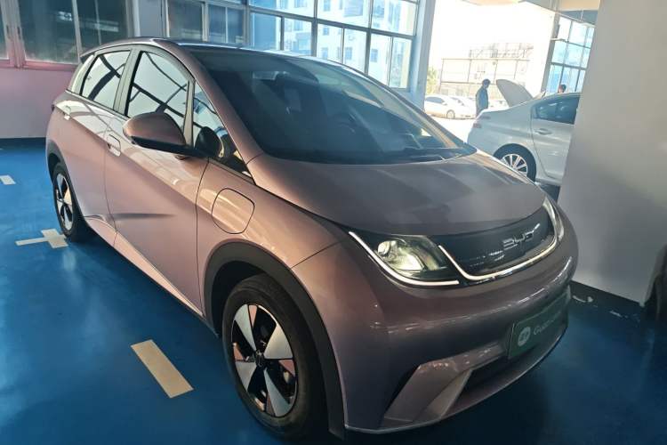 Used BYD Dolphin 2023 420 km Free Version