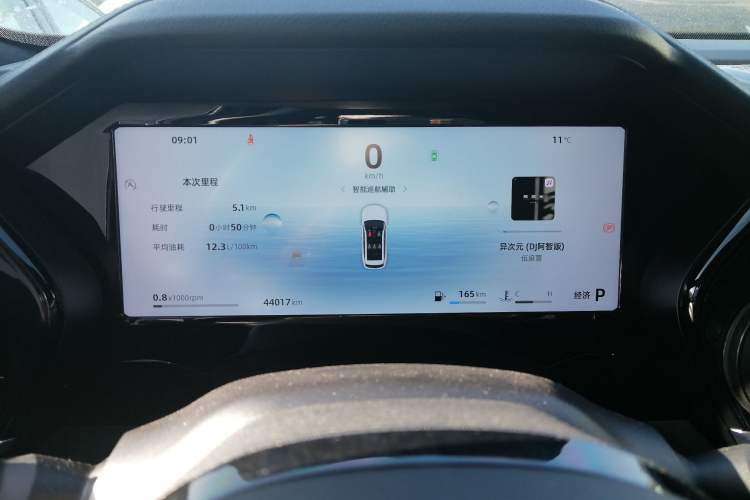 Used Geely Auto Monjaro L 2024 2.0TD High-Power Automatic Two-Wheel Drive Skyline Edition
