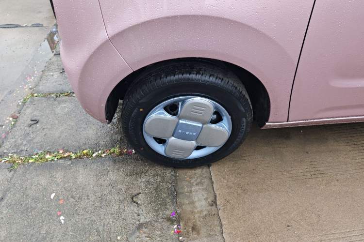 Used  Panda 2024 Panda Mini 200km Endurance Bear
