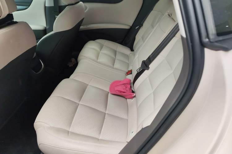 Used  L6 2024 Max Long-Range Version
