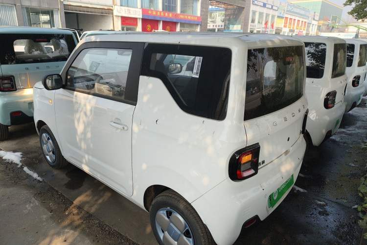 Used  Panda 2024 Panda Mini 200km Endurance Bear
