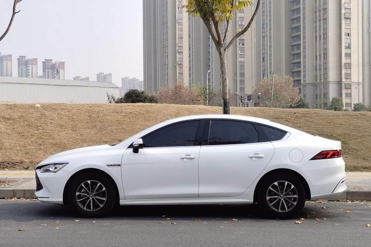 Used BYD Qin PLUS 2023 Champion Edition DM-i 55KM Leading Model