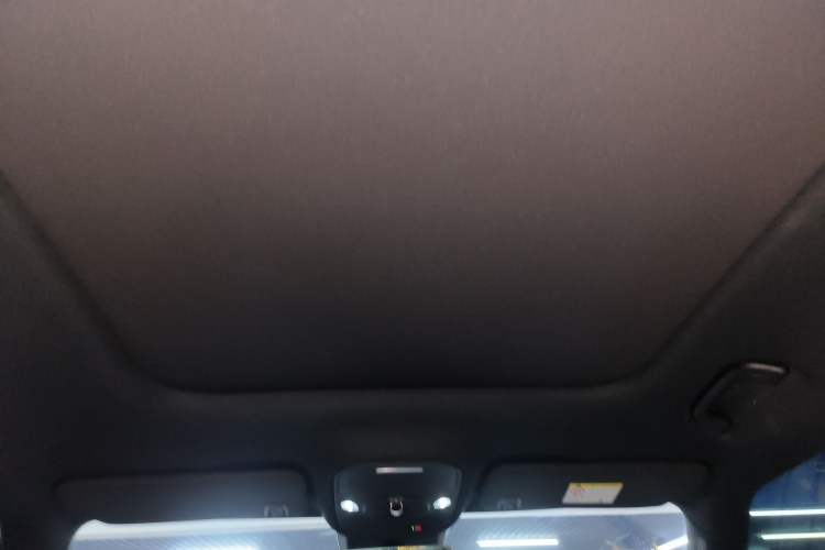 Used  #1 2024 Premium Edition