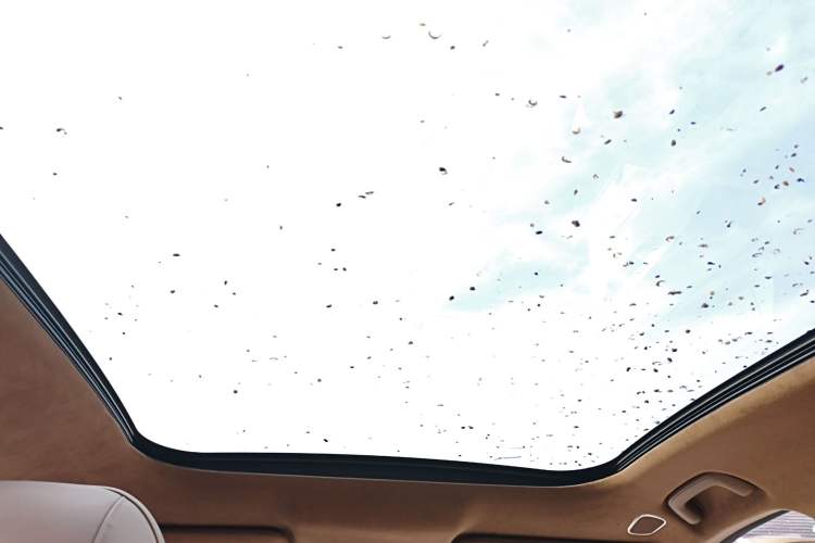 Used  HT 2023 670 Rear-Drive Ultra-High-Voltage NDA Version
