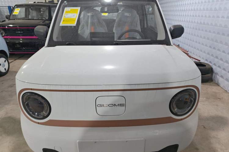 Used  Panda 2024 Panda Mini 200km Endurance Bear
