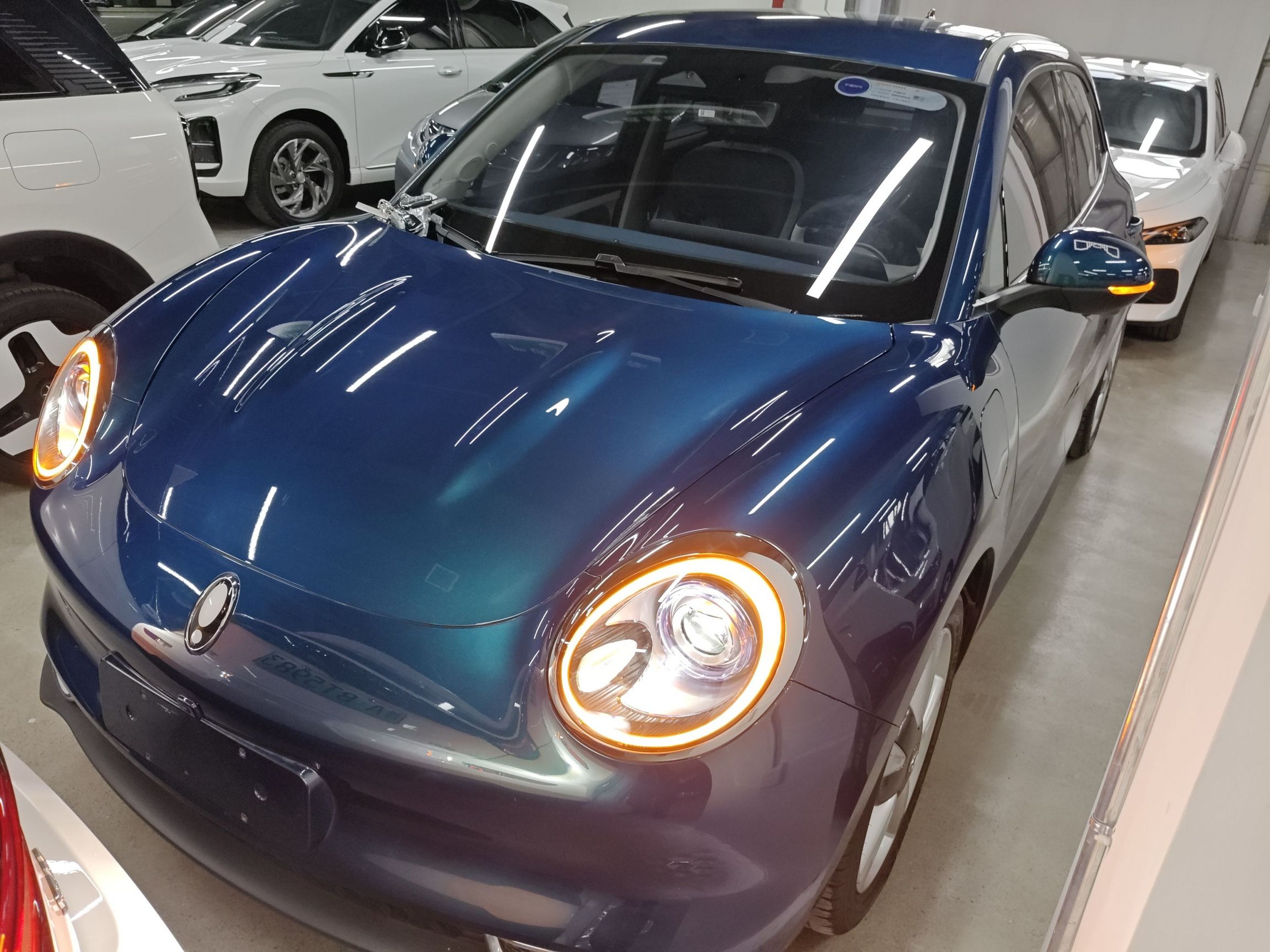 تحت مقدمة السيارة