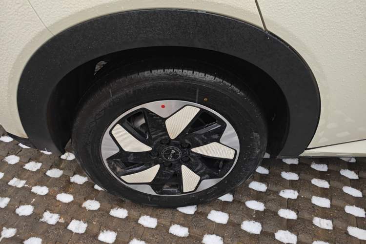 Used BYD Dolphin 2025 420km Free Edition
