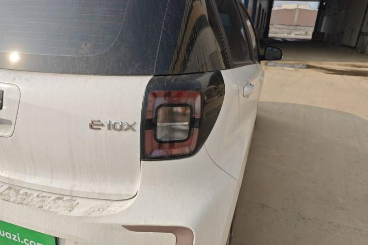 Used SOL E10X 2022 Flower Fairy Design Four-Leaf Clover