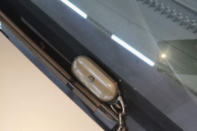 Used Leapmotor C01 2024 Pure Electric 525 Luxury Edition
