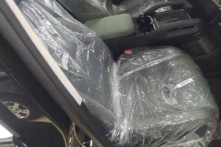 Used  03T 2024 520km Two-Wheel Drive Long-Range Version
