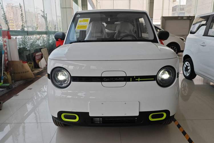 Used  Panda 2025 210 km – Yuanqi Bear
