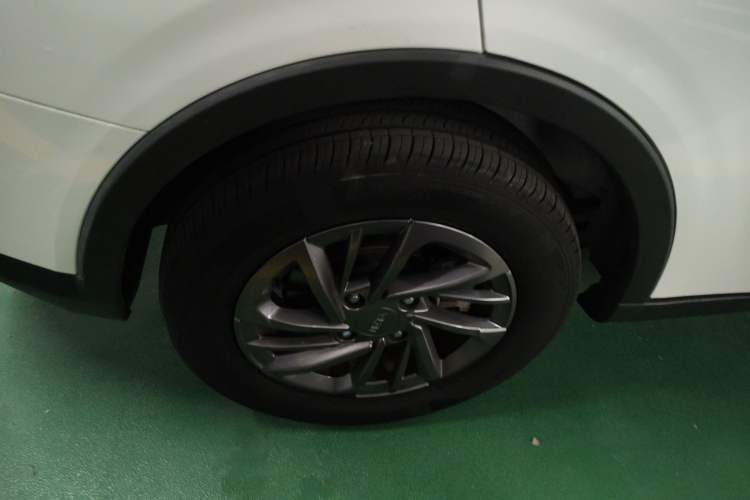 Used NETA V 2022 Standard Range Industry Custom Edition