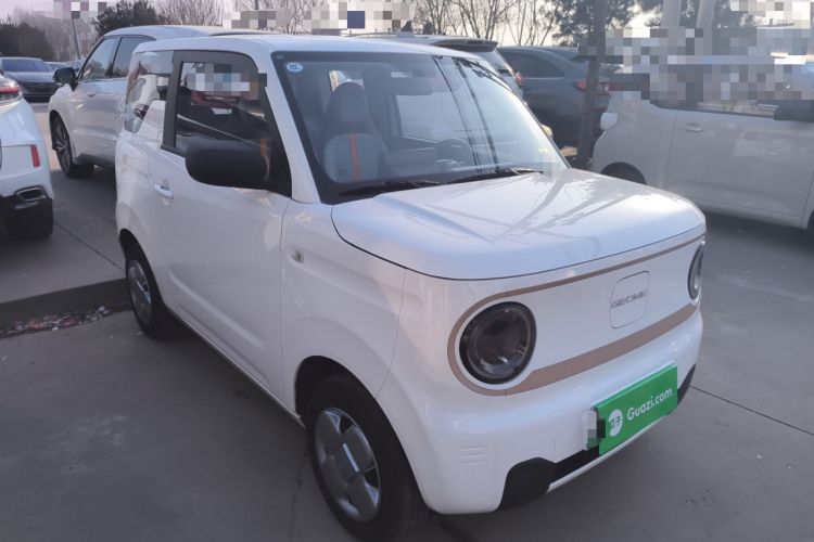 Used  Panda 2023 Panda Mini 200km Endurance Bear
