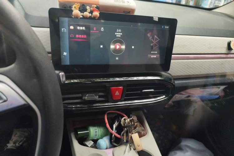 Used SOL E10X 2022 Flower Fairy Design Four-Leaf Clover
