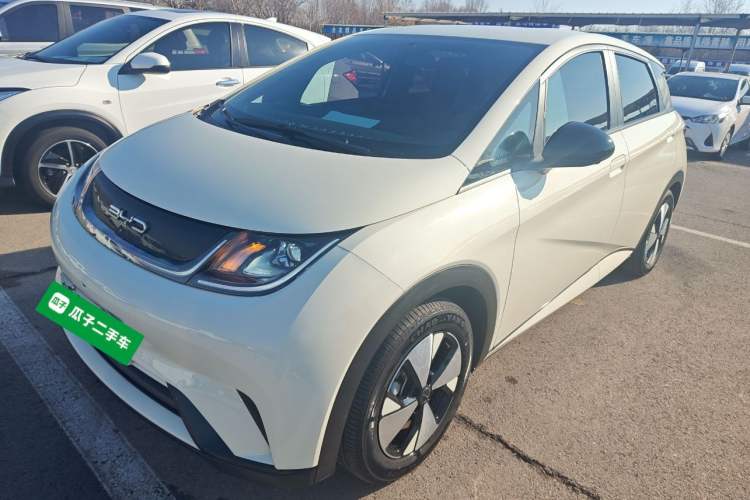 Used BYD Dolphin 2023 420 km Free Version