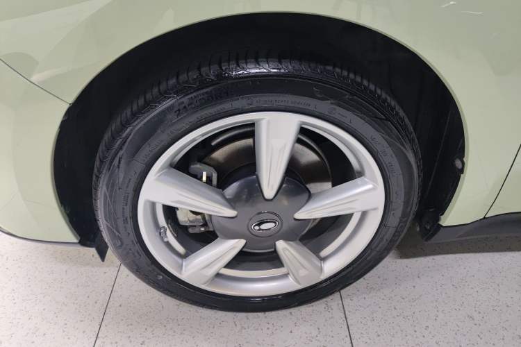 Used ORA Good Cat 2022 Morandi Edition 400km Standard Range Premium Version Lithium Iron Phosphate
