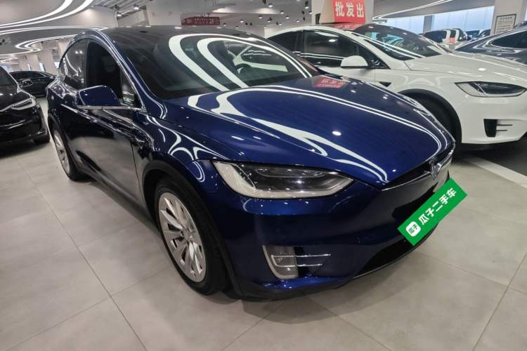 Used Tesla Model X 2017 X 100D Long Range Edition

