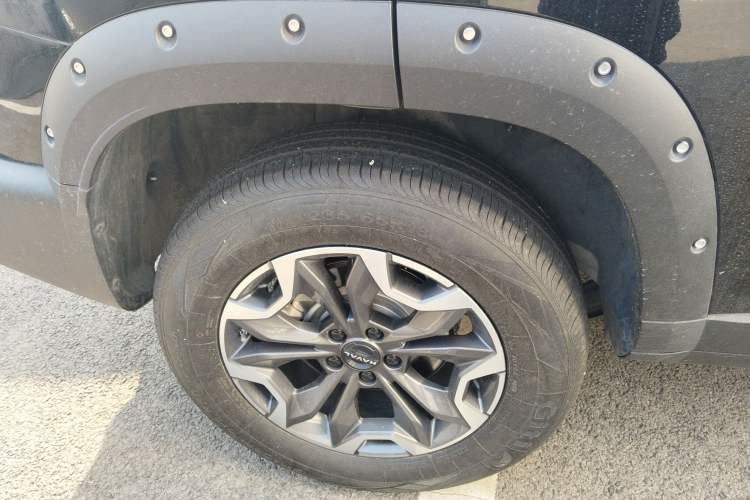 Used Haval DARGO 2024 2.0T DCT Chinese Rural Dog Edition
