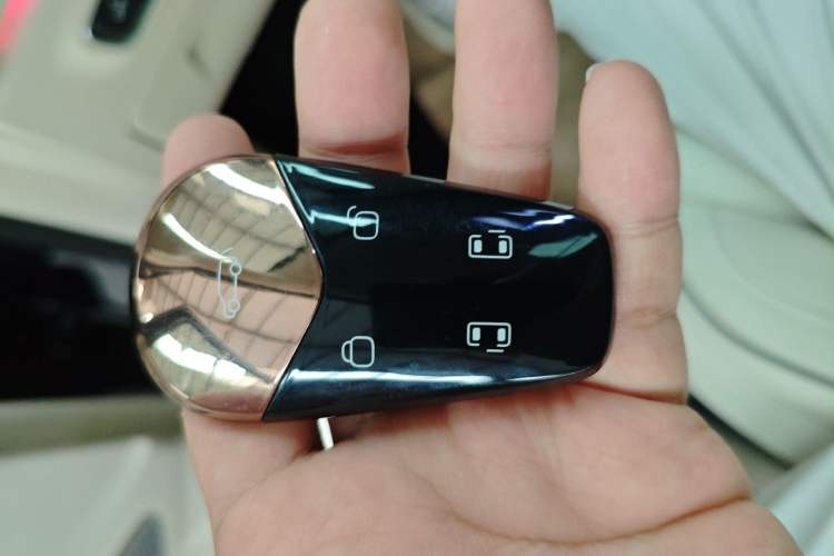 Used VOYAH Dream 2024 PHEV Ultra-Long Range Flagship Edition
