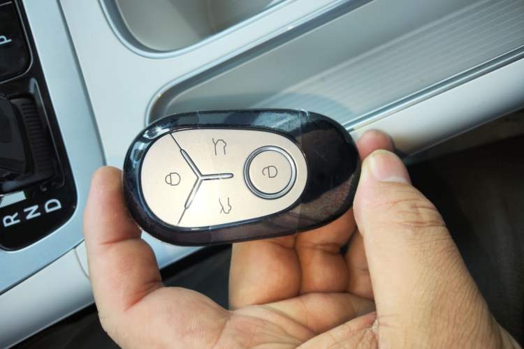 Used  Geome 2025 310km Dream Edition
