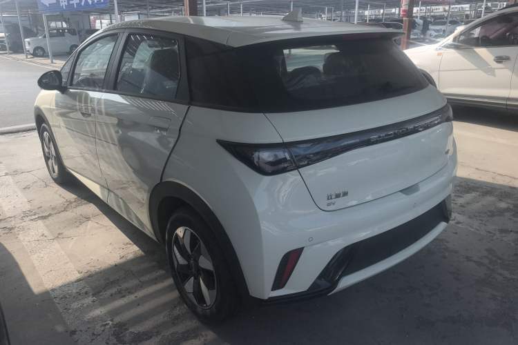 Used BYD Dolphin 2025 420km Free Edition