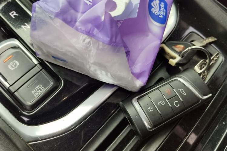 Used GAC Trumpchi GS8 2017 320T Two-Wheel Drive Luxury Edition (7 Seats)