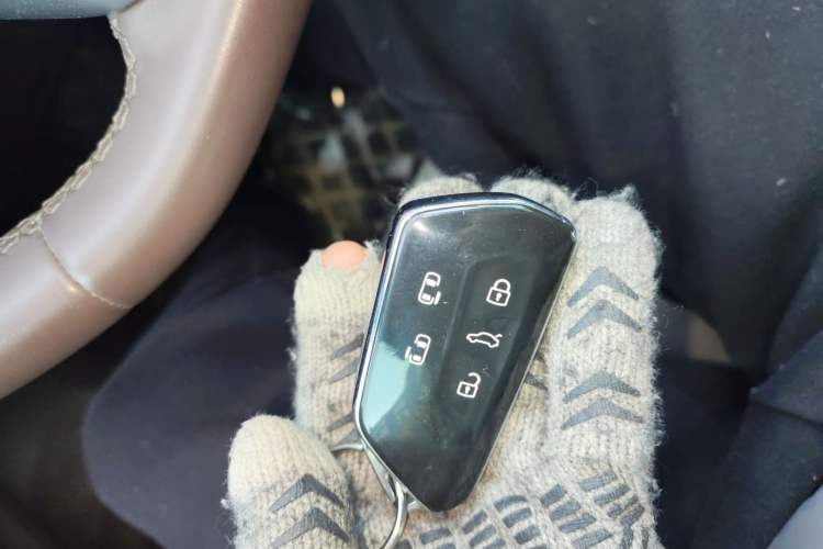 Used Volkswagen Viloran 2024 330TSI Luxury Edition
