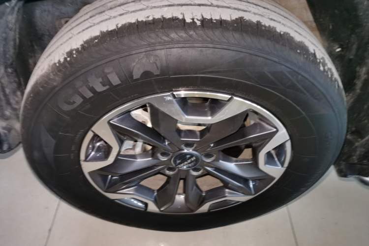 Used Haval DARGO 2021 2.0T DCT 4x4 Chinese Rural Dog Edition