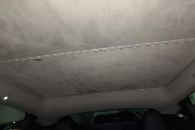 Used Tesla Model Y 2023 Rear-Wheel-Drive Version
