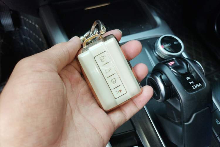 Used Tank 300 2023 City Edition 2.0T—Stylish as Ever
