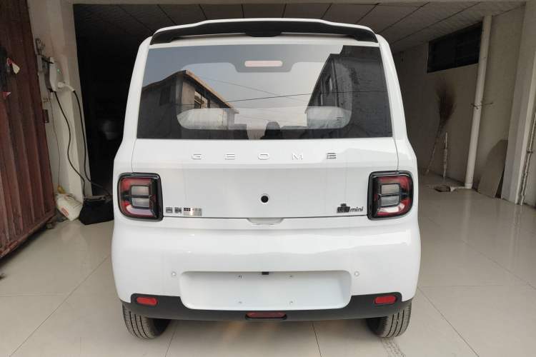 Used  Panda 2025 210 km – Yuanqi Bear