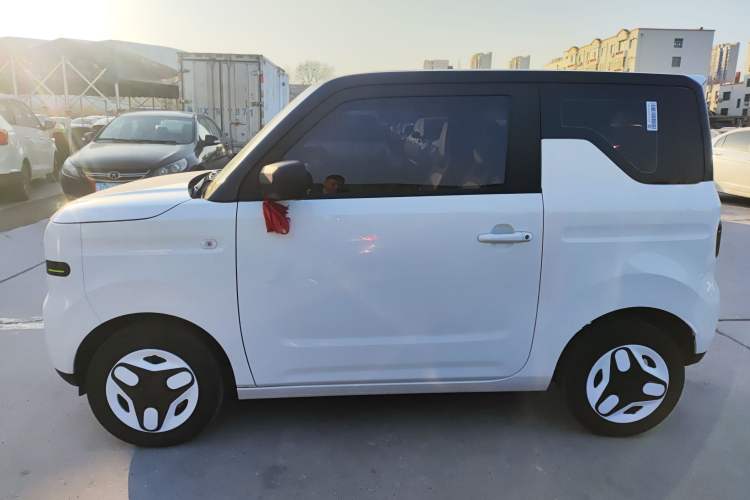 Used  Panda 2025 210 km – Yuanqi Bear