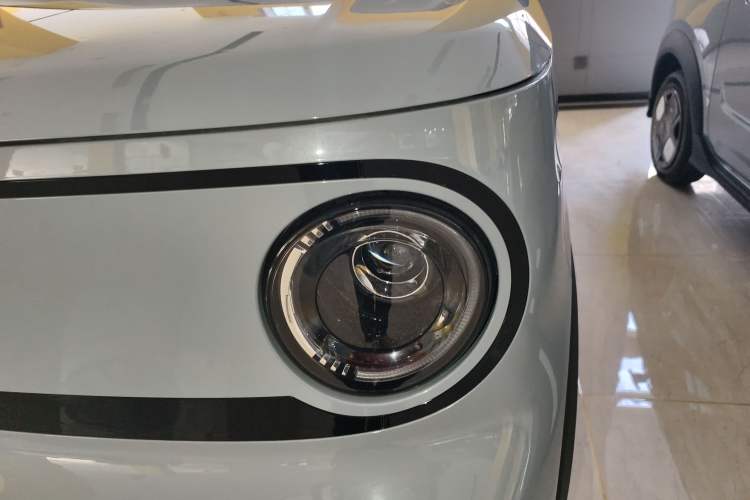 Used  Panda 2025 210km Panda Kart