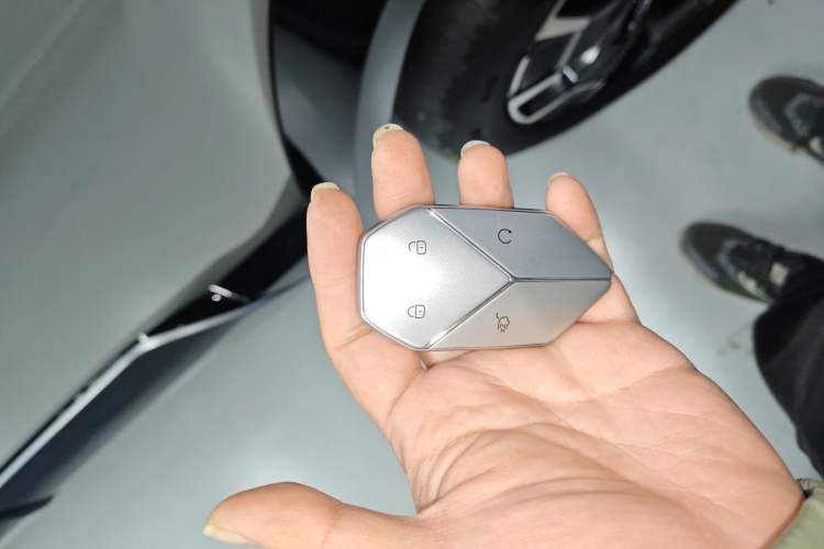 Used  Leopard 8 2025 Smart & Brave Flagship Edition 7 Seats