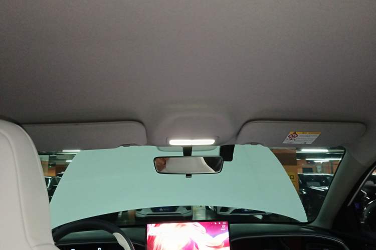 Used  Geome 2025 310km Dream Edition
