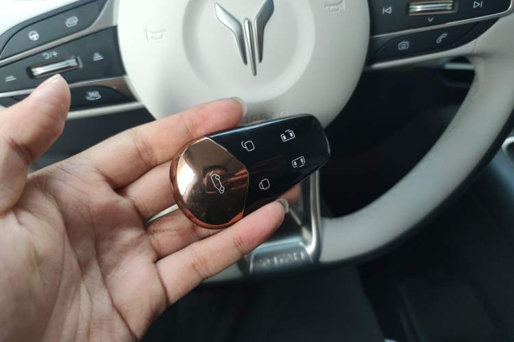 Used VOYAH Dream 2025 PHEV Four-Wheel-Drive Flagship Kunpeng Edition
