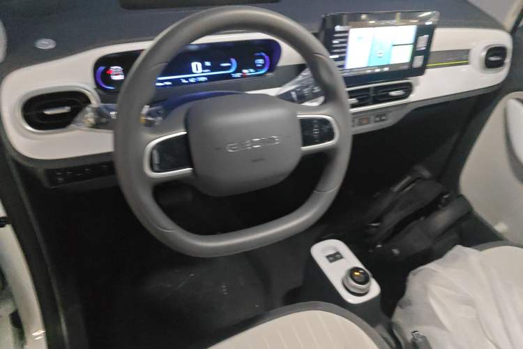 Used  Panda 2025 210 km – Yuanqi Bear
