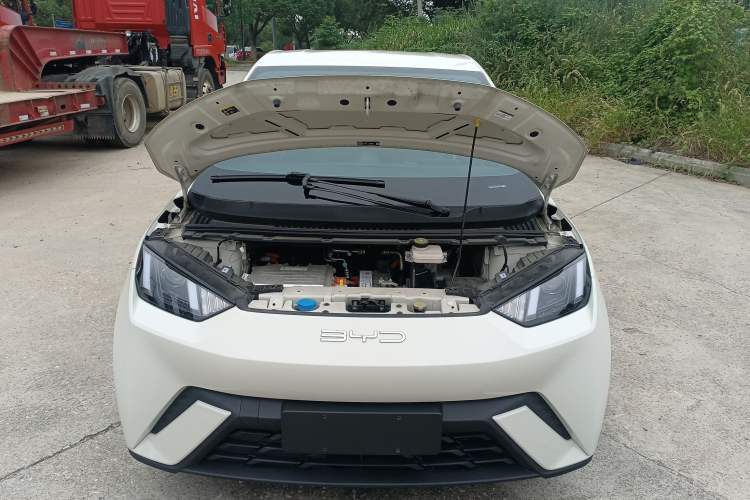 Used BYD Seagull 2023 Active Version
