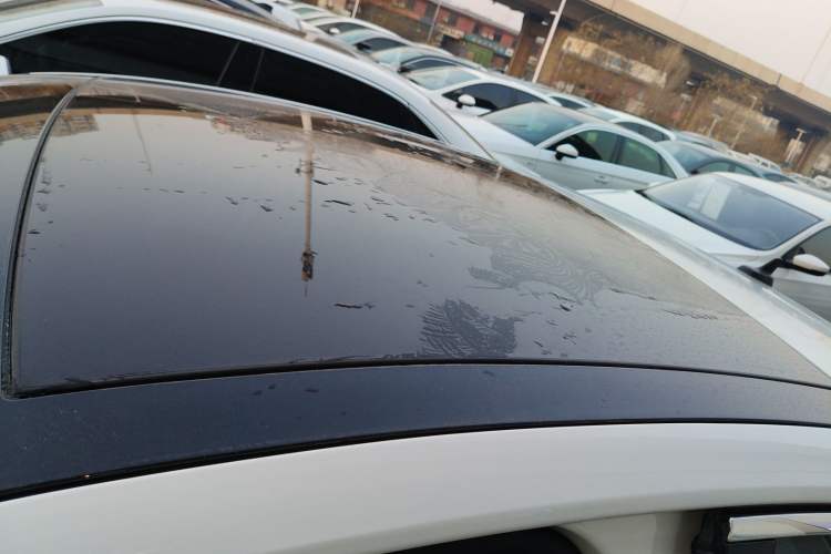 Used Volkswagen Lamando 2019 230TSI DSG Vision Edition China VI Standard