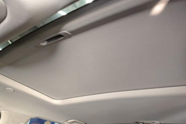 Used Tank 300 2024 2.0T Crosser
