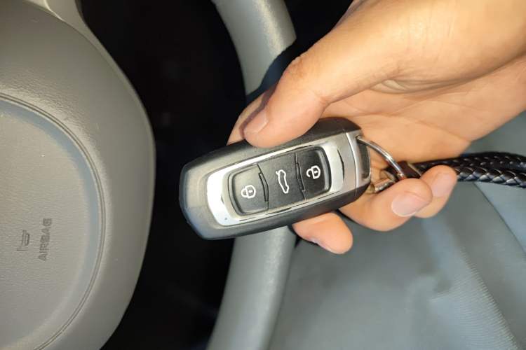 Used  Panda 2024 Panda Mini 200km Endurance Bear
