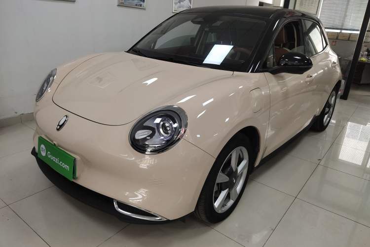 Used ORA Good Cat 2022 Morandi Edition 400km Standard Range Luxury Version Lithium Iron Phosphate